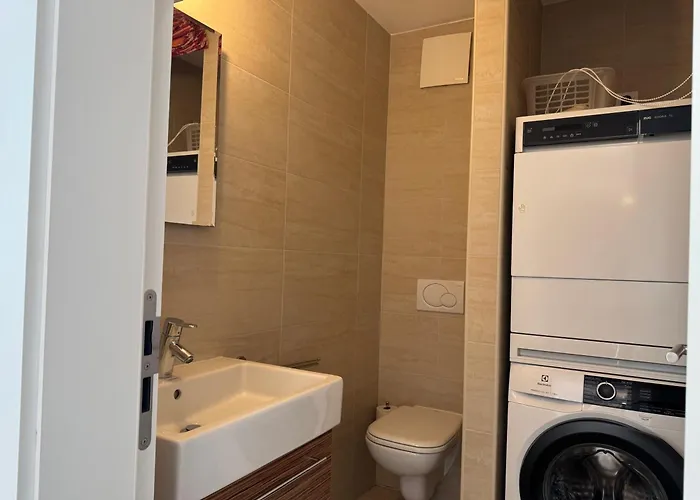 شقة Monte Verita 1 A أسكونا