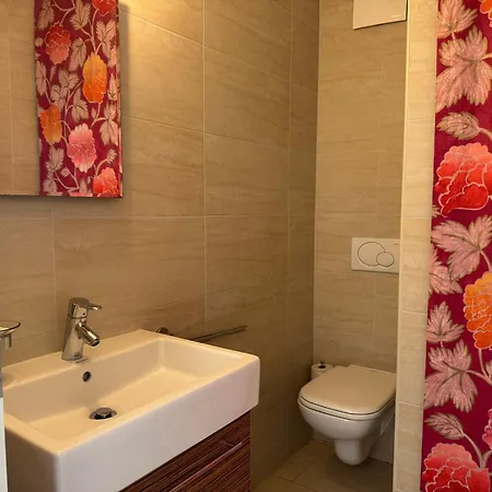 Monte Verita 1 A 아스꼬나